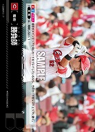 勝負師(広島東洋カープ) 【TBP01-PDO-01】